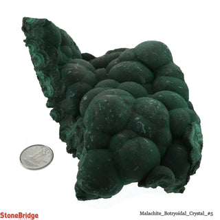 Malachite Botryoidal Crystal #5 - 400g to 500g    from Stonebridge Imports