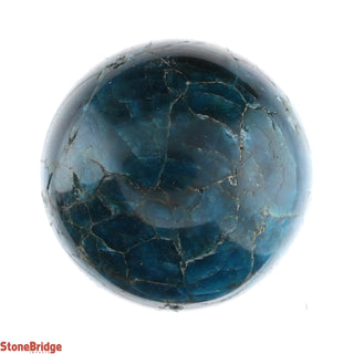 Apatite Blue Sphere - Small #4 - 2 1/2"    from Stonebridge Imports