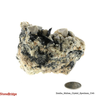 Aegirine with Orthoclase/ Zomba Malosa U#6    from Stonebridge Imports