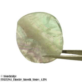 Fluorite Slices Polished - Purple And Green #1 - 1 3/4" to 2"    from Stonebridge Imports