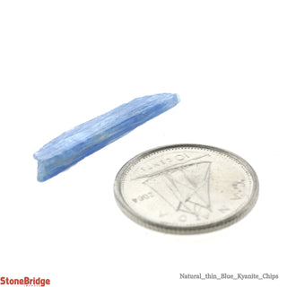 Kyanite Blue Blade Chips - Assorted    from Stonebridge Imports