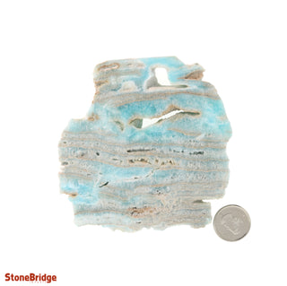 Aragonite Blue Slices #1    from Stonebridge Imports