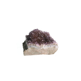 Amethyst Druze Cluster #00 (20g to 49g, 1" to 3")    from Stonebridge Imports