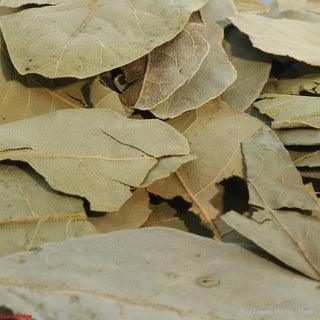 Bay Leaves Whole - Herb Blend    from Stonebridge Imports
