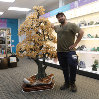 Citrina of Abundance - Citrine Tree - 6.5 Foot Tall    from Stonebridge Imports