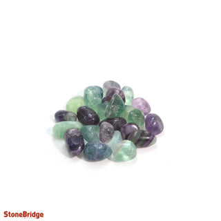 Fluorite Purple & Green Tumbled Stones X-Small   from Stonebridge Imports