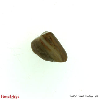 Petrified Wood Tumbled Stones - Africa    from Stonebridge Imports