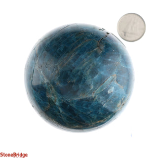 Apatite Blue Sphere - Small #3 - 2 1/4"    from Stonebridge Imports
