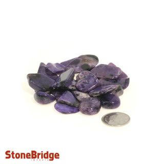 Charoite A Tumbled Stones - Mini    from Stonebridge Imports