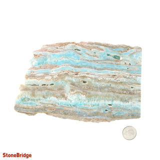 Aragonite Blue Slices #4    from Stonebridge Imports