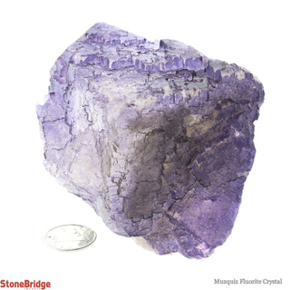 Fluorite Muzquiz Specimen #2    from Stonebridge Imports