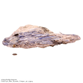 Blue Kyanite Cluster U#46    from Stonebridge Imports