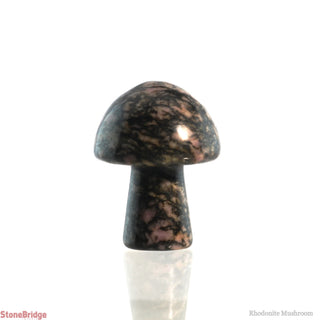 Rhodonite Mushroom    from Stonebridge Imports