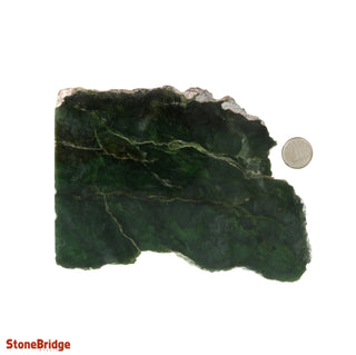 Jade Nephrite Slice U#3    from Stonebridge Imports