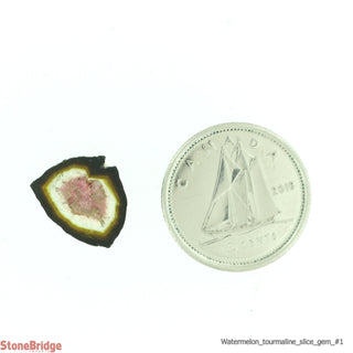Watermelon Tourmaline Slice Gemgrade - #1 - 3 to 5.9ct    from Stonebridge Imports