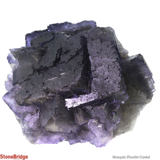 Fluorite Muzquiz Specimen #3    from Stonebridge Imports