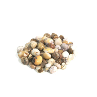 Orbicular Jasper Tumbled Stones - India    from Stonebridge Imports