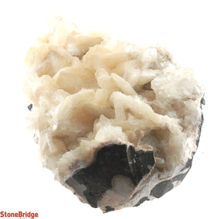 Zeolite on Basalt Cluster - APOPHYLLITE & STILBITE U#68    from Stonebridge Imports