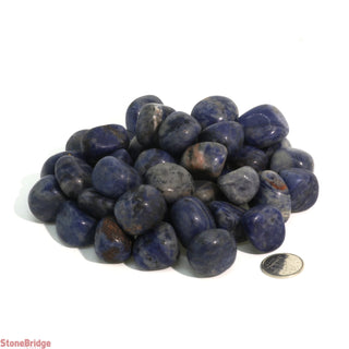 Sodalite B Tumbled Stones - India    from Stonebridge Imports