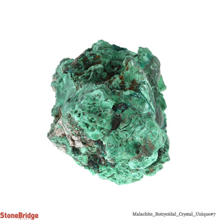Malachite Botryoidal U#7 - 820"g    from Stonebridge Imports