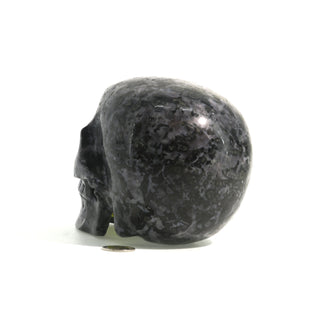 Gabbro Skull U#22    from Stonebridge Imports