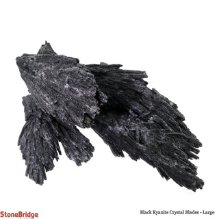 Kyanite Black Crystal Blades - Large    from Stonebridge Imports