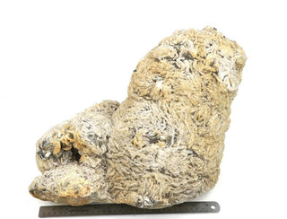 Albite Stone Specimen Cleavelandite U#3 - 18"    from Stonebridge Imports