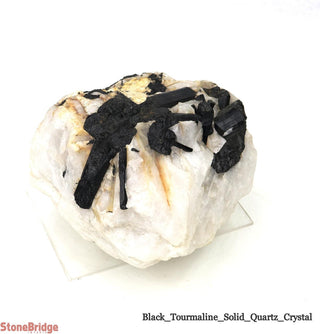 Black Tourmaline on Quartz Matrix U#4    from Stonebridge Imports