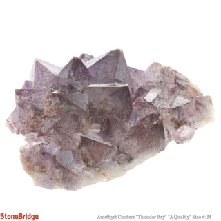Amethyst Cluster Thunder Bay A #1M 50g to 99g    from Stonebridge Imports