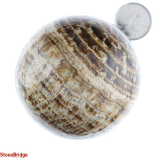 Aragonite Brown Sphere - Extra Small #4 - 2"    from Stonebridge Imports