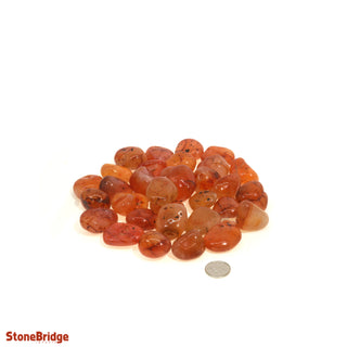 Carnelian B Tumbled Stones - Brazil    from Stonebridge Imports
