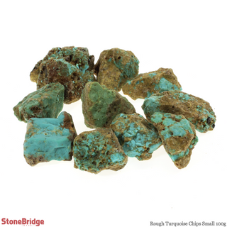 Turquoise Chips - Small    from Stonebridge Imports