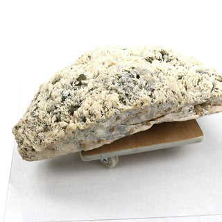 Albite Stone Specimen Cleavelandite U#21    from Stonebridge Imports
