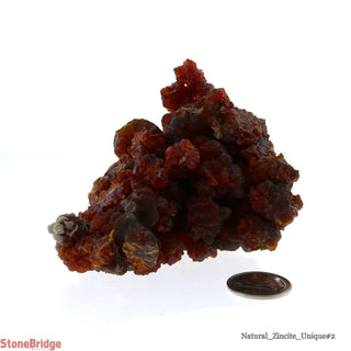 Zincite Mineral U#2    from Stonebridge Imports