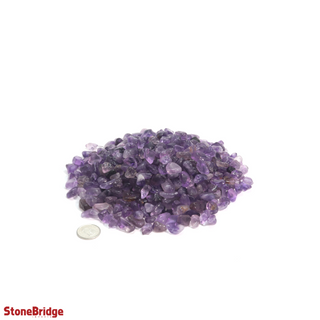 Amethyst A Tumbled Stones - Tiny    from Stonebridge Imports