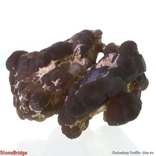 Chalcedony Truffle #2 - 2.5"    from Stonebridge Imports