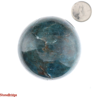 Apatite Blue Sphere - Extra Small #4 - 2"    from Stonebridge Imports