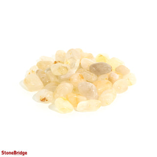 Golden Healer B Tumbled Stones    from Stonebridge Imports