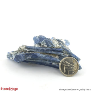 Blue Kyanite A Cluster #2 - 30g to 59g    from Stonebridge Imports
