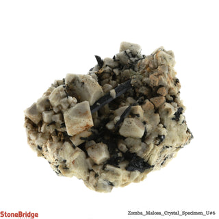 Aegirine with Orthoclase/ Zomba Malosa U#6    from Stonebridge Imports