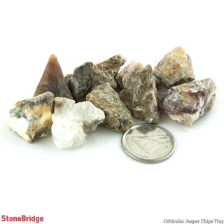 Orbicular Jasper Chips - Tiny    from Stonebridge Imports