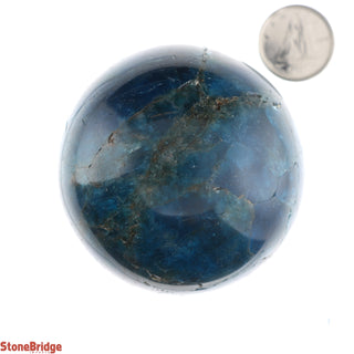 Apatite Blue Sphere - Extra Small #4 - 2"    from Stonebridge Imports