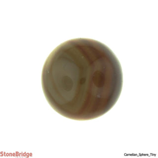 Carnelian Sphere - Tiny    from Stonebridge Imports