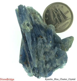 Kyanite Blue A Cluster - 5 Pack    from Stonebridge Imports