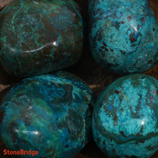 Chrysocolla E Tumbled Stones    from Stonebridge Imports