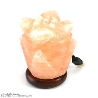 USB Salt Lamp - Flower    from Stonebridge Imports