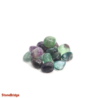 Fluorite Purple & Green Tumbled Stones Medium   from Stonebridge Imports