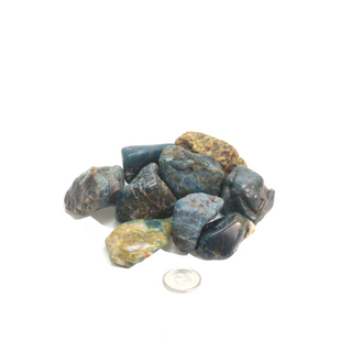 Apatite Blue Tumbled Stones - Semi-Polished    from Stonebridge Imports