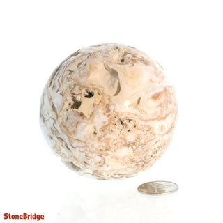 Caribbean Blue Calcite Sphere from Stonebridge Imports