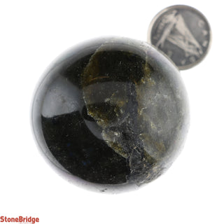 Labradorite E Sphere - Extra Small #1 - 1 1/2"    from Stonebridge Imports